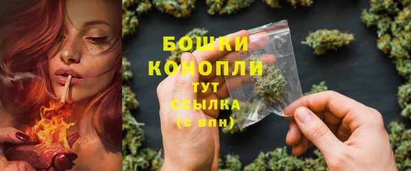 прущие крисы Осинники