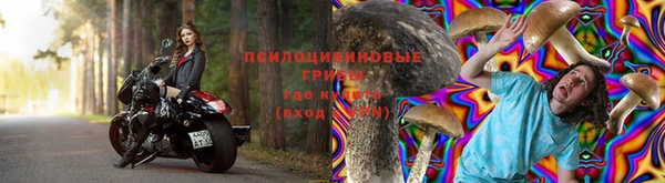 прущие крисы Осинники